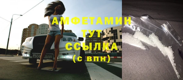 шишки Иннополис