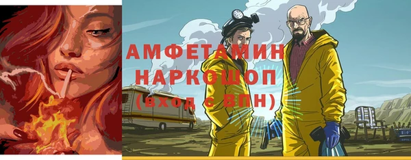 сатива Заводоуковск